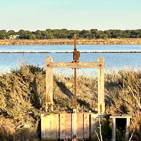 Location 4p T3 Neuf /2ch A 300m Ds Rdch Sur Presqu'ile De Giens 83 Hyeres