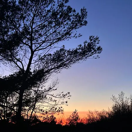 Location 4p T3 Neuf /2ch A 300m Ds Rdch Sur Presqu'ile De Giens 83 Holiday home Hyeres