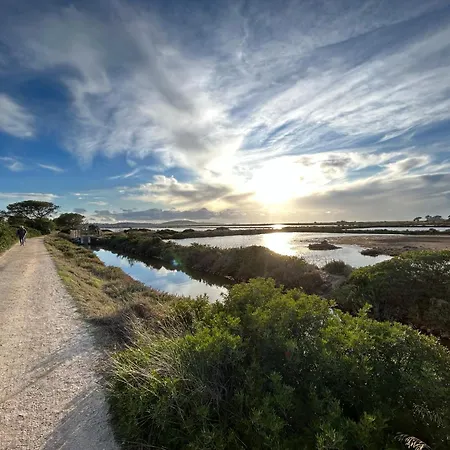 Hébergement de vacances Location 4p T3 Neuf /2ch A 300m Ds Rdch Sur Presqu'ile De Giens 83